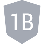1B