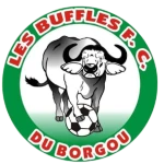 Buffles FC du BORGOU